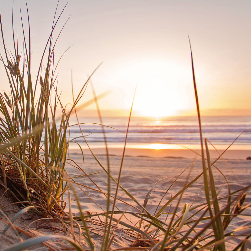 Beach Sunset