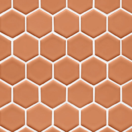 Hexagonal Salmon